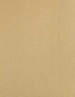 Ковролин Résidentiel DD