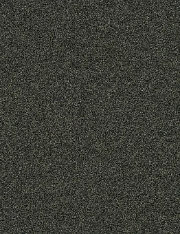 Ковровая плитка Polichrome Stipple