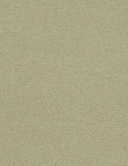 Ковровая плитка Polichrome Solid