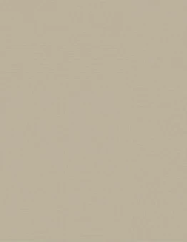 Завершающий профиль для линолеума EL 3.5