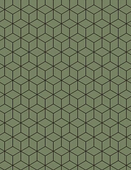 Ковролин Arc Edition