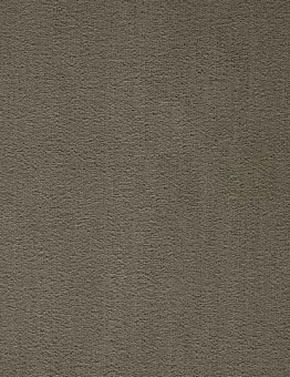 Ковролин Prominent