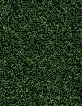 Ковролин Coral Brush