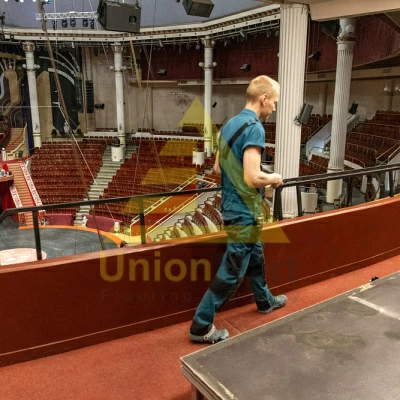 АО Цирк Никулина ВИП ТРИБУНА Москва, Цветной бульвар, д. 2 ковролин ЭГЕ