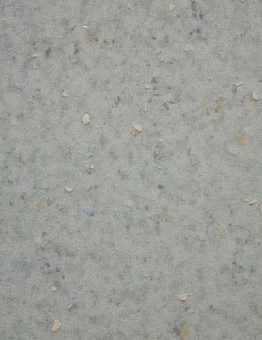 Линолеум Emerald Spectra