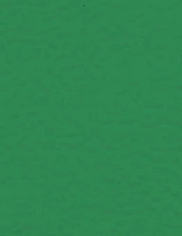 Линолеум Taraflex Evolution Uni