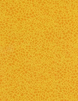 Линолеум Acoustic 7 Color