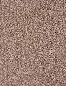 Бежевый ковролин Forum