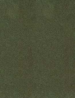 Ковролин Asteranne