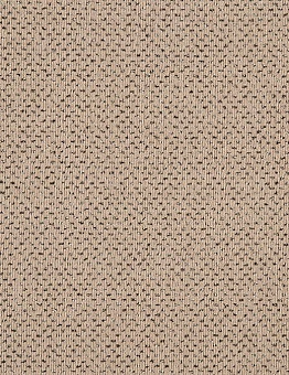 Бежевый ковролин Apollo
