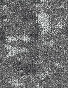 Ковровая плитка Create