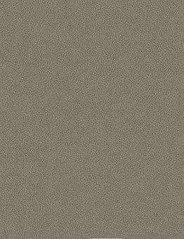 Ковровая плитка Equal Measure 551