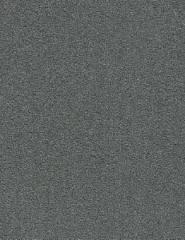 Ковровая плитка Heuga 725