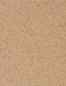 Линолеум ASTRAL COLOR