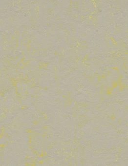 Линолеум Marmoleum Concrete 2,50