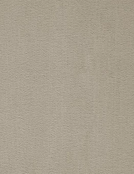 Бежевый ковролин Prominent