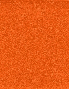 Линолеум GRABOFLEX GYMFIT 50