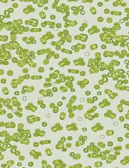 Ковролин Flotex Sottsass