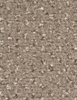 Бежевый ковролин Signature