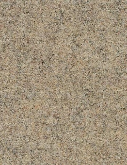 Бежевый ковролин Markant