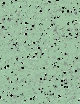 Линолеум Mipolam  EL5