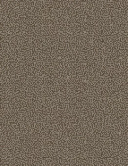 Ковролин Арена