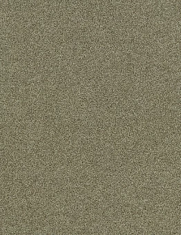 Ковровая плитка Polichrome Stipple