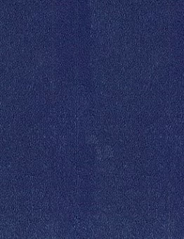 Синий ковролин Asteranne