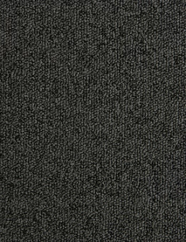 Ковровая плитка Millennium100