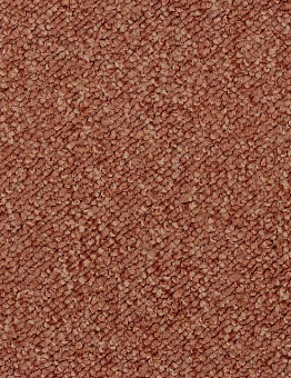Ковровая плитка Pallas