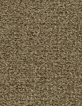 Грязезащитное покрытие Coral Classic