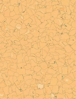 Линолеум Colorex SD