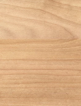 Линолеум Taraflex Performance Wood