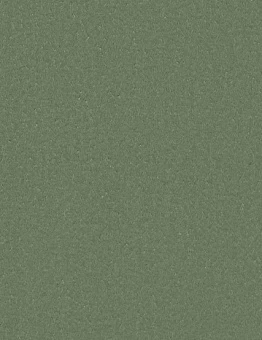 Линолеум Taralay Impression Compact