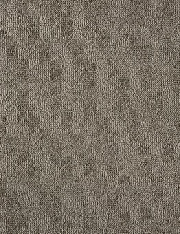 Бежевый ковролин Noblesse