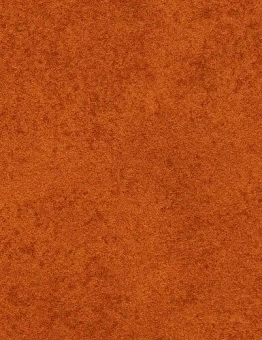 Ковролин Flotex Colour