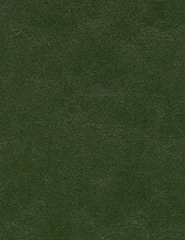 Линолеум Marmoleum Walton 2,50