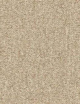 Бежевый ковролин Blitz