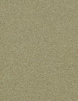 Ковровая плитка Polichrome Stipple