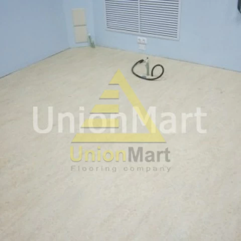 Стоматология