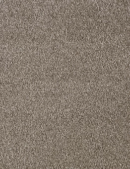 Бежевый ковролин Secret