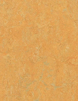 Marmoleum Real 2,50