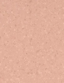 Линолеум Sphera Element