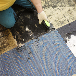 Laying of flocked coatings