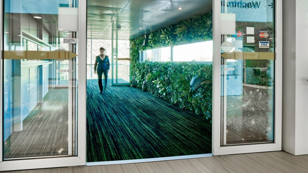 Coral_Welcome_3205.jpg