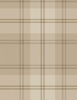 Carpet Inspirations Twist