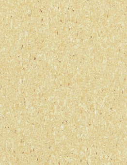 Favorite Acoustic PUR