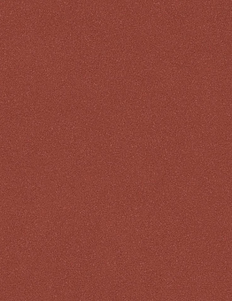 Acczent Pro Linoleum