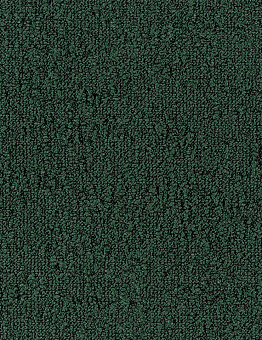 Fields