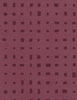 Taralay Impression Compact